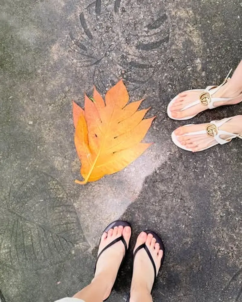 เลิฟ ภัทรานิษฐ์ Instagram อัปเดต 2569 รูปที่ 25 เลิฟ ภัทรานิษฐ์ ภาพอัปเดตจาก Instagram ลำดับที่ 25