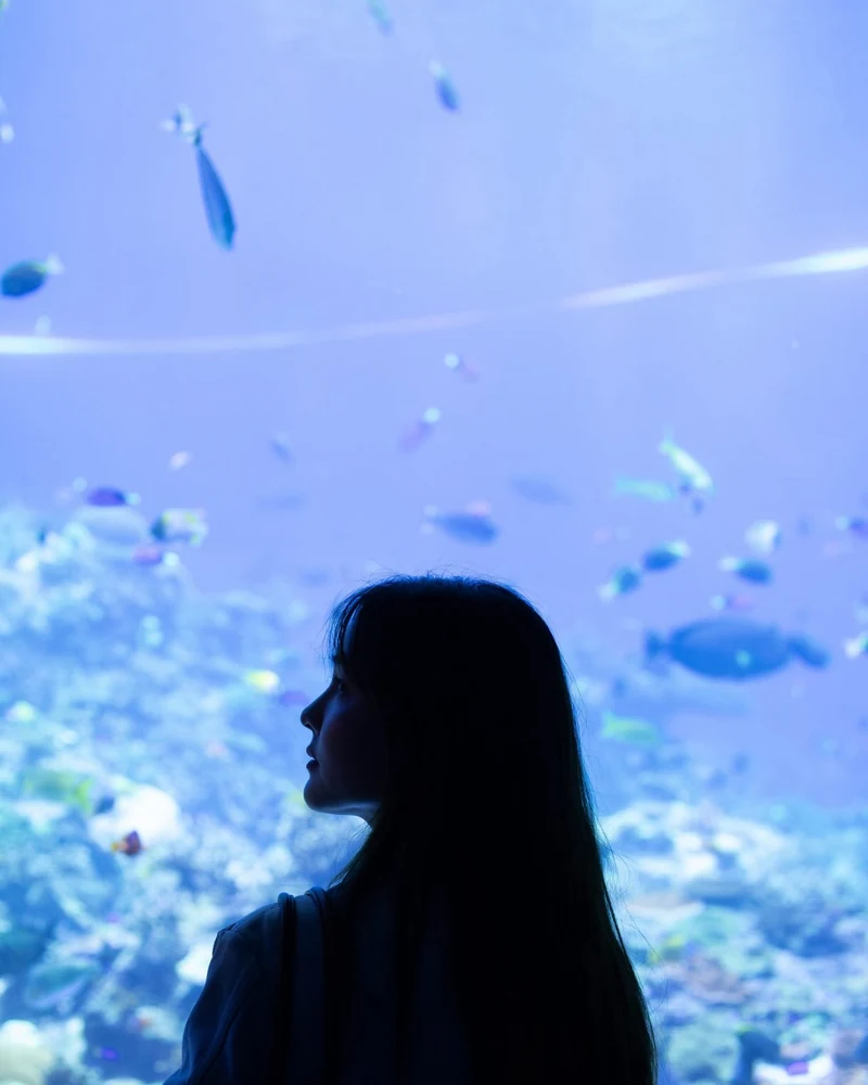 ออม สุชาร์ ภาพอัปเดตจาก Instagram ลำดับที่ 12